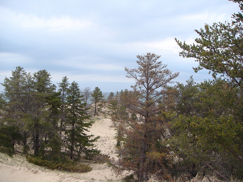 368 Memorial Day [2008 May 23].JPG - Scenes from Whitefish Point on Lake Superior in the Michigan Upper Peninsula.